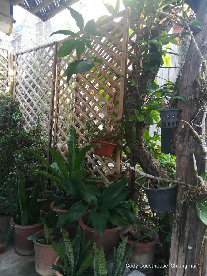 Cody Guesthouse Chiang Mai Exterior photo